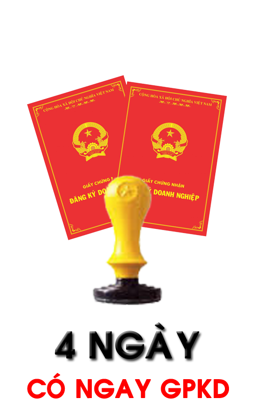 dich-vu-thanh-lap-cong-ty-binh-dinh